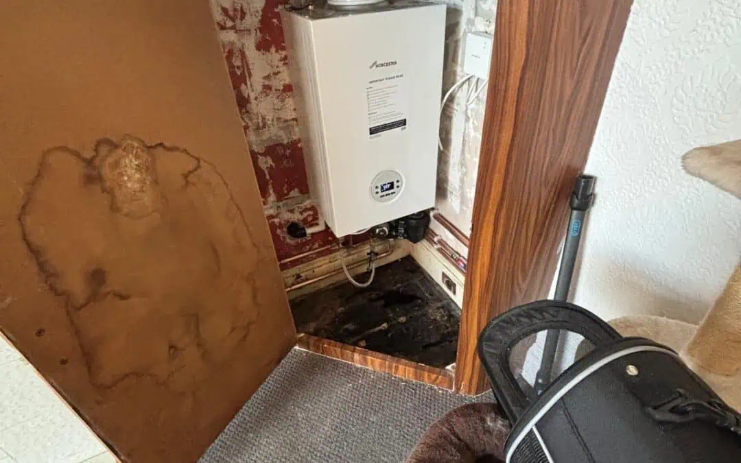 Mount Pleasant Ewell Boiler Installation
